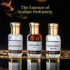 3 pcs Arabic Attar Set Mukhallath, Mukhallath H, Mukhallat Badar 12ml Each - Image 2