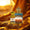 Shiekh Oud Perfume & Attar Combo